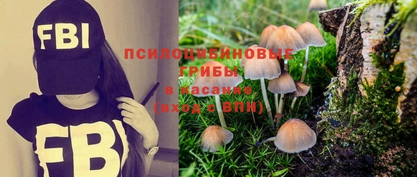 мдма Краснослободск