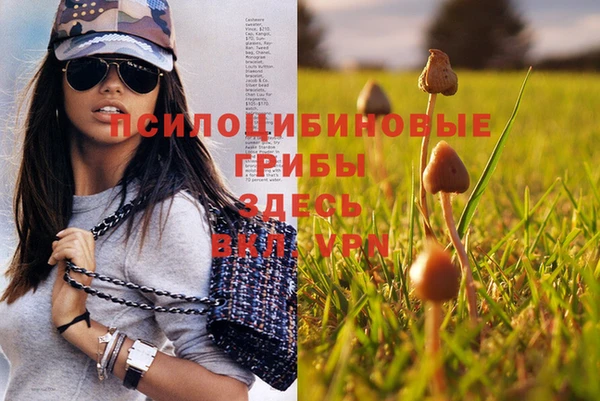 марки nbome Краснотурьинск